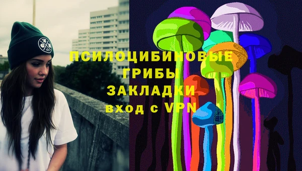 spice Алексин
